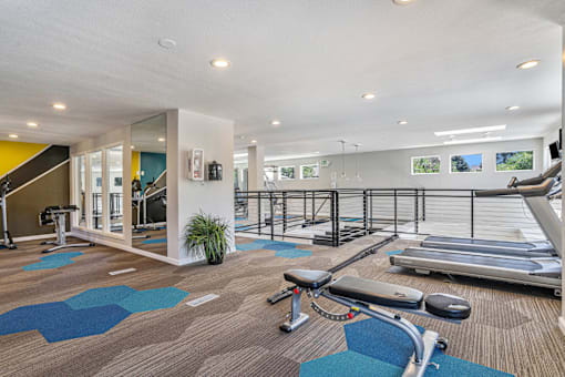 A gym with a treadmill, weights and exercise equipment.