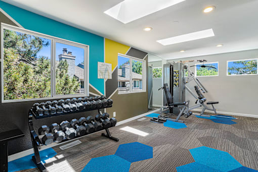 A gym with a row of dumbbells and a bench press.