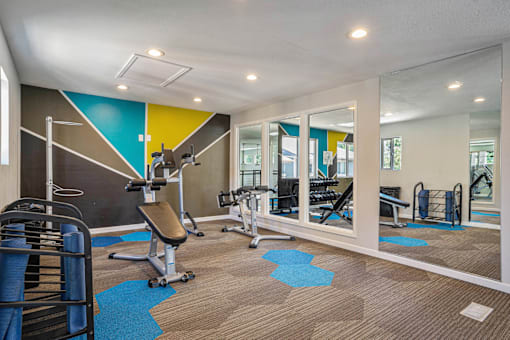 A gym with a variety of equipment including a treadmill, weights, and a bench press.