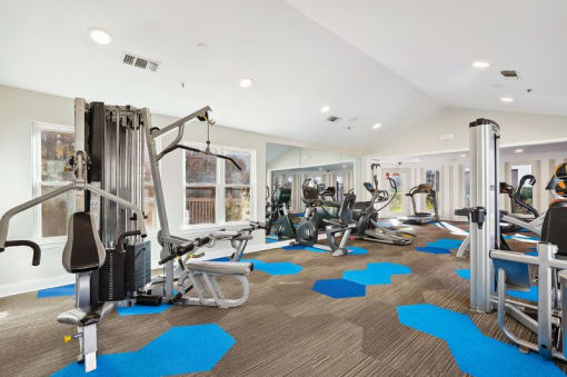 A gym with a variety of equipment including a treadmill, a stationary bike, a rowing machine, and a weight bench.