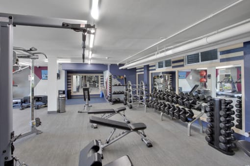 Work out and have fun in the newly designed fitness center