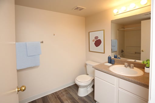 A bathroom with a toilet, sink, mirror, and lighted mirror.