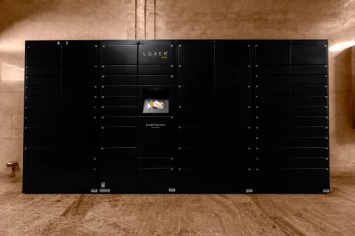the lockers in the lobby of the building are black