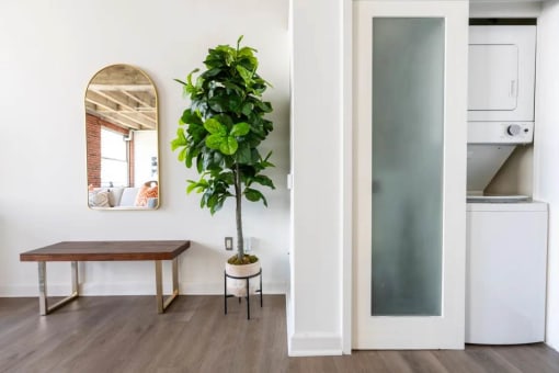 a living room with a table and a plant