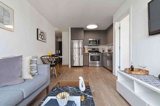 Modern open-concept kitchens