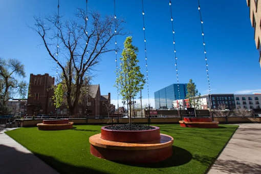 Pet park at Archer Tower in Denver, CO
