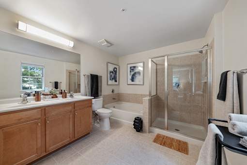 A bathroom with a walk-in shower and a toilet.