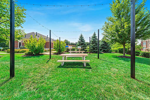 A park with a bench and trees.