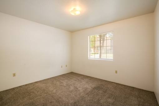 Bedroom with lots of natural lighting