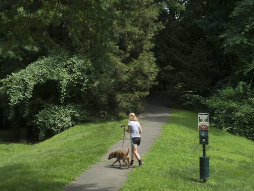 Plenty of serene walking paths for you and your pet at Trillium Apartments, Fairfax, Virginia