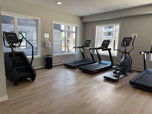A gym with treadmills, elliptical machines, and a stationary bike.