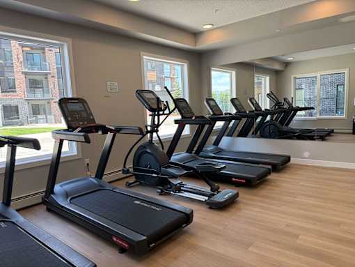 A gym with treadmills and elliptical machines.