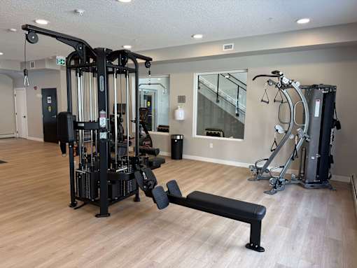 A gym with a variety of equipment including a leg press machine, a chest press machine, a cable machine, and a bench press.