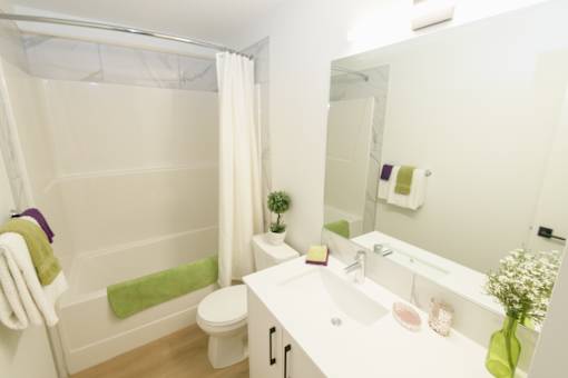 Douglas Place bathroom with full tub, modern vanity and bright lighting