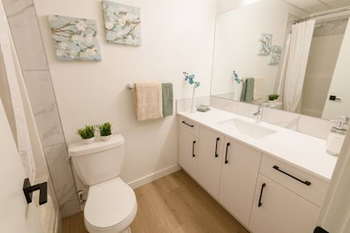 Douglas Place bathroom with double-sink vanity and modern fixtures