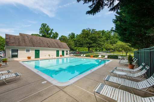 A pool surrounded by chairs and trees.