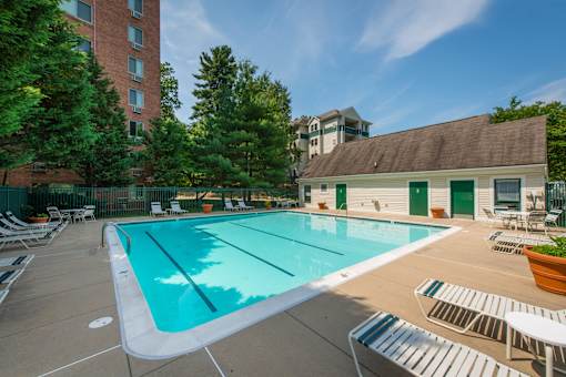 A large swimming pool surrounded by lounge chairs and trees.