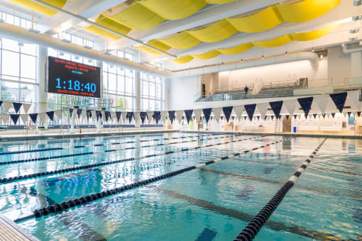Lap lanes
