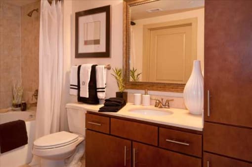 a bathroom with a sink toilet and a mirror
