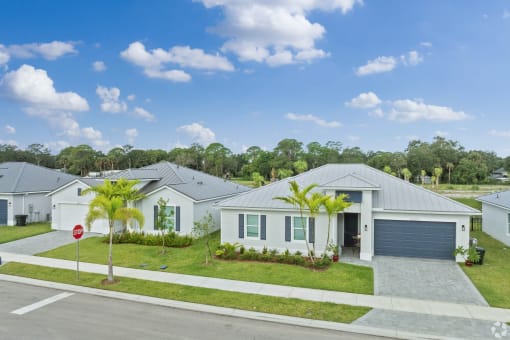 a group of white houses with palm trees in front of a street