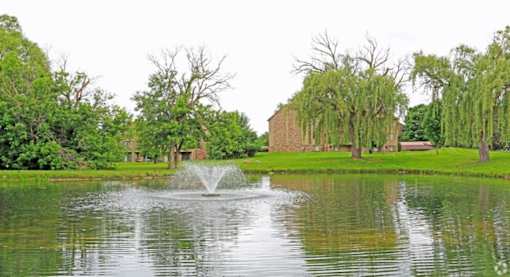 a fountain in the middle of a pond