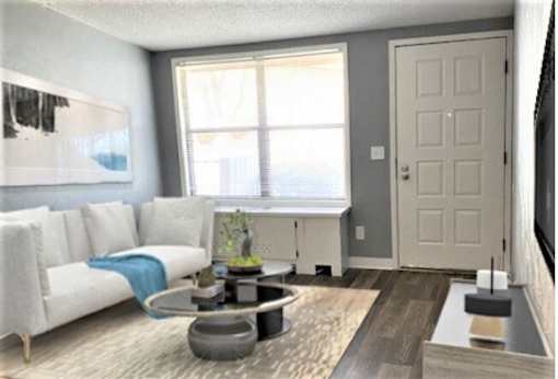 A living room with a white couch and a grey rug.