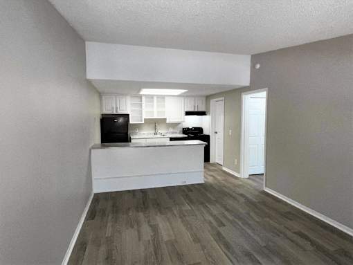 Kitchen & Living Room
