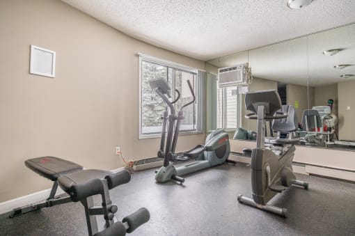 the gym at the whispering winds apartments in pearland, tx
