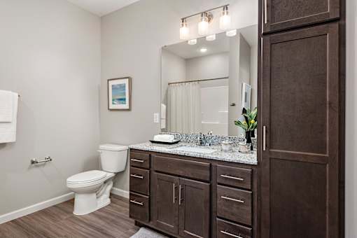 Luxurious Bathroom at Decatur Landing I & II, Minnesota