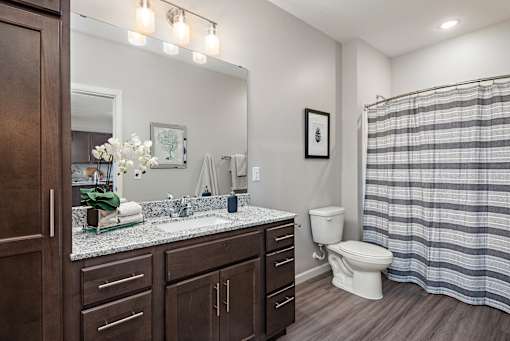 Luxurious Bathroom at Decatur Landing I & II, Brooklyn Park, 55445