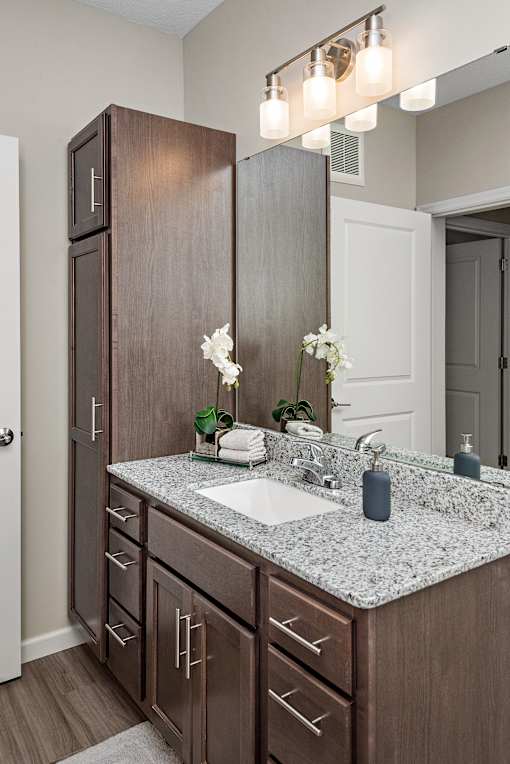 A bathroom with a sink, mirror, and wooden cabinets.at Decatur Landing I & II, Minnesota, 55445