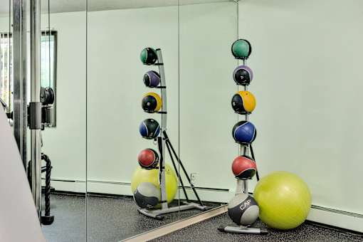 Yoga Studio at Pheasant Park Apartments, New Hope
