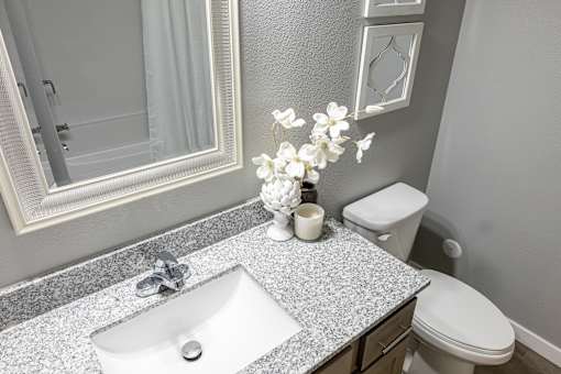 a bathroom with a sink and a toilet and a mirror at Technology Park Apartments, Rochester, 55901