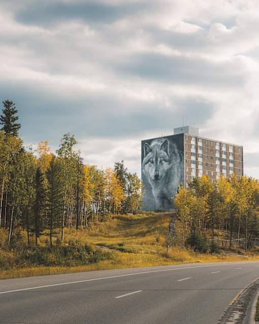 A large building with a large image of a wolf on it is surrounded by trees with yellow leaves.