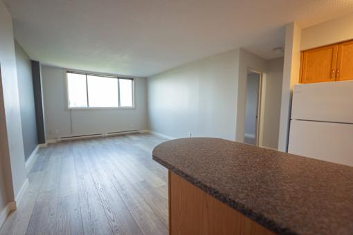 A kitchen with a counter and a window.