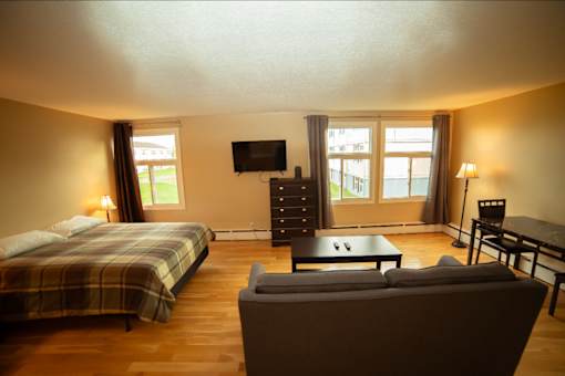 A bedroom with a bed, a couch, and a television.