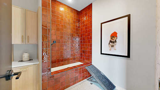 Dog wash station