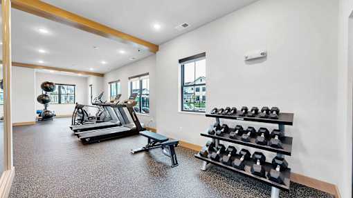 A gym with a treadmill, weights, and exercise equipment.