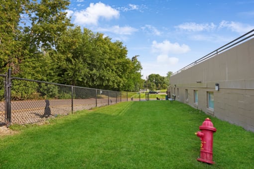 a red fire hydrant in the grass next to a chain link fence