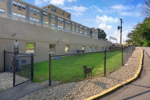 a dog standing behind a fence in front of a building