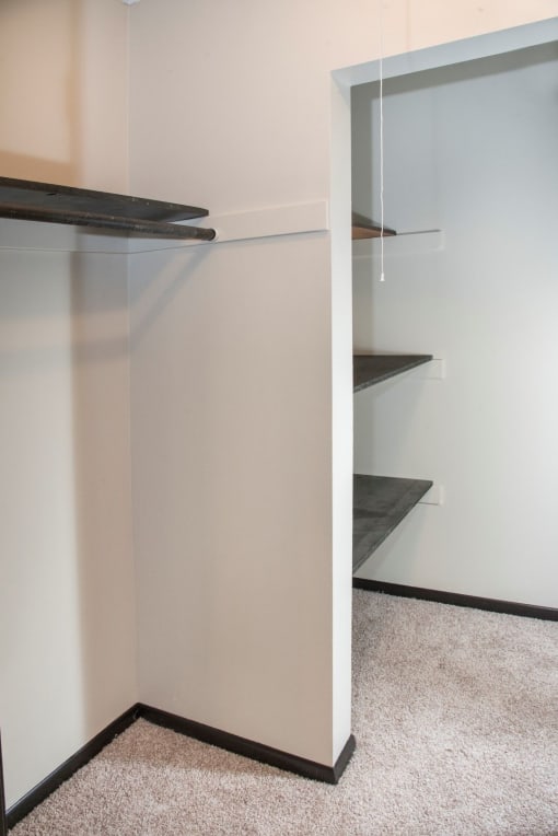 Huge entry closet