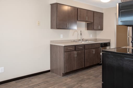 upgraded kitchen with slate cabinets and stainless steel appliances