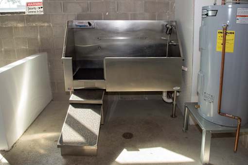dog wash station