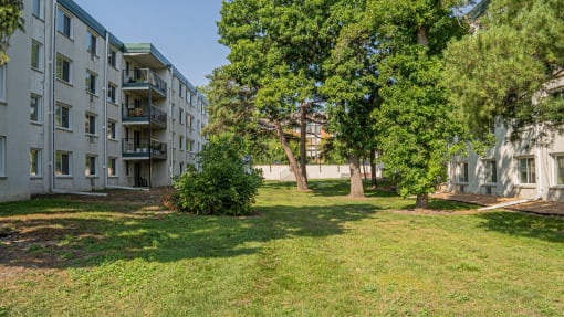 the preserve at city center apartments courtyard and trees