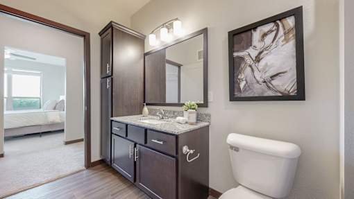 A bathroom with a white toilet and a large mirror.at Lake Jonathan Flats, Chaska, MN
