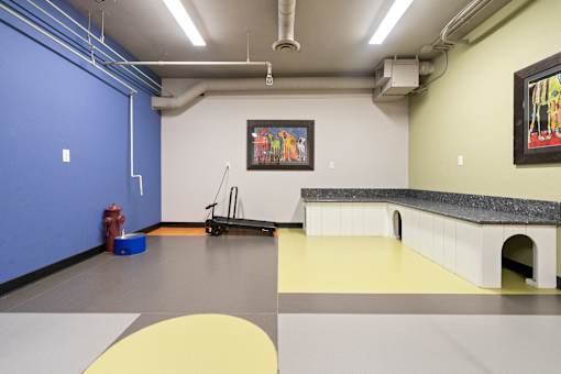 Dog Daycare Facility at Lux Apartments, Brooklyn Center, MN, 55430