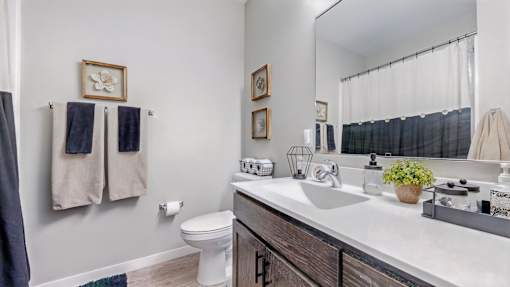 A bathroom with a white toilet, a sink with a mirror above it, and a plant on the counter.