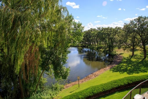 Pond views