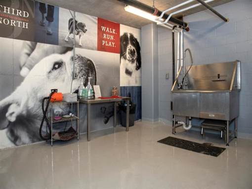 Dog Wash at Third North Apartments, Minnesota, 55401