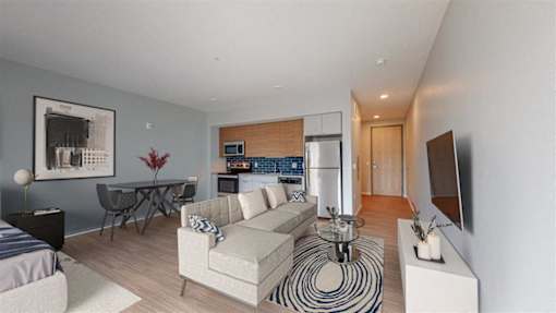 A modern living room with a grey couch and a black and white rug.at Viridium Apartments, Minnesota, 55401